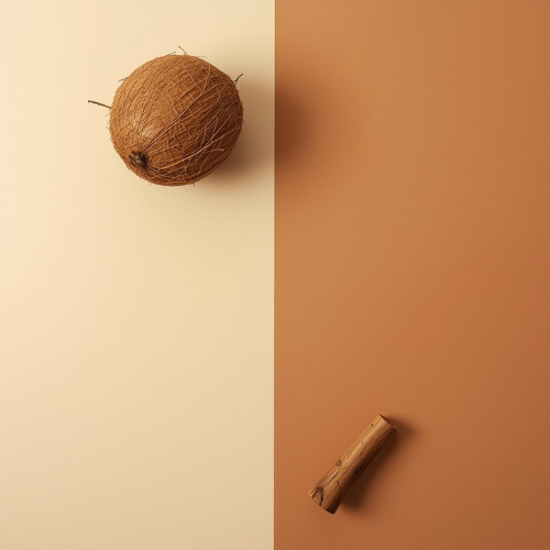 SANTAL + COCONUT